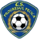 Escudo de Progresul Pecica