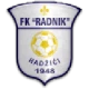 Escudo de Radnik Hadžići
