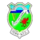 Escudo de Pontardawe Town