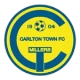 Logo local
