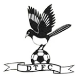 Logo fondo visitante