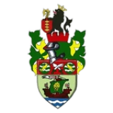 Logo fondo visitante