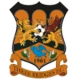 Escudo de Three Bridges