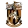 Logo de Folkestone Invicta