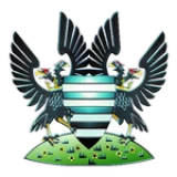 Logo fondo visitante
