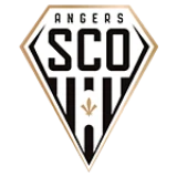 Logo fondo visitante