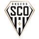 Escudo de Angers