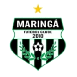 Logo fondo visitante