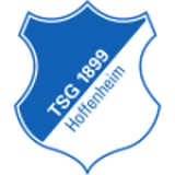 Escudo de Hoffenheim U19