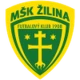 Escudo del Žilina U19