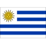 Logo fondo visitante