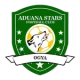 Escudo de Aduana Stars