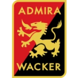 Logo fondo visitante