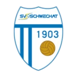 Logo fondo visitante