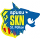 Escudo del St. Pölten II