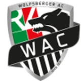 Logo fondo visitante