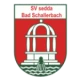 Logo local