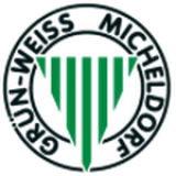 Logo fondo visitante