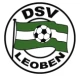 Escudo de Leoben
