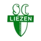 Escudo de Liezen