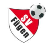 Logo fondo visitante