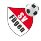 Logo visitante