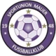 Logo visitante