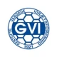 Escudo de GVI