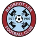 Logo local