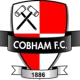 Escudo de Cobham