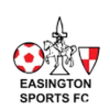 Logo fondo local