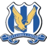 Logo fondo visitante