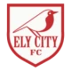 Logo local