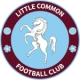 Logo local