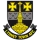 Lydney Town