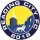 Reading City