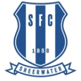 Logo fondo visitante