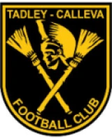 Logo fondo visitante