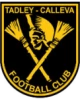 Logo visitante
