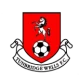 Logo visitante