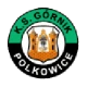 Escudo de Górnik Polkowice