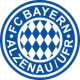 Logo local