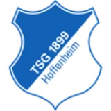 Logo fondo visitante