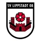 Logo fondo visitante