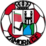 Zamora logo