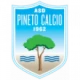 Escudo del Pineto
