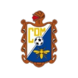 Logo fondo visitante