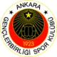 Escudo de Genclerbirligi
